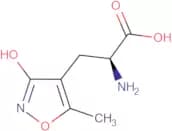 (S)-α-Amino-3-hydroxy-5-methyl-4-isoxazolepropionic acid