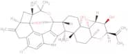 Penitrem A, Penicillium paxilli