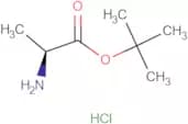 L-Alanine t-butyl ester hydrochloride (H-Ala-OtBu·HCl)