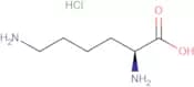 H-Lys-OH.HCl
