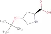 H-Hyp(tBu)-OH