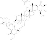 Notoginsenoside R1
