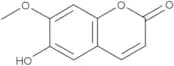 Isoscopoletin