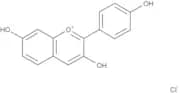 Guibourtinidin chloride