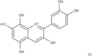 Gossypetinidin chloride