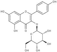 Kaempferol-3-O-glucoside