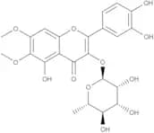 Eupatolin
