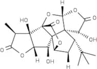 Ginkgolide B