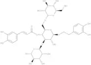 Echinacoside