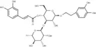Verbascoside
