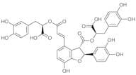 Salvianolic Acid B