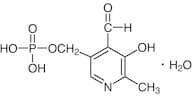 Pyridoxal 5-Phosphate Monohydrate