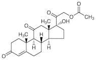 Cortisone Acetate
