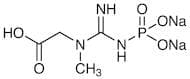 Sodium Creatine Phosphate