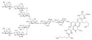 G2-peptide