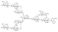 G2F 2AB (500pmol/vial)