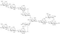 Galα(1-3) core 6-Fucosylated N-Glycan