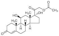 Hydrocortisone Acetate