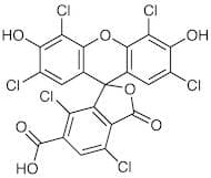 6-HEX