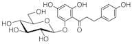 Phlorizin