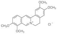 Palmatine Chloride
