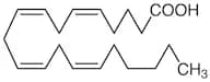Arachidonic Acid