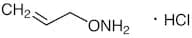 O-Allylhydroxylamine Hydrochloride