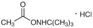 O-Acetyl-N-tert-butylhydroxylamine Hydrochloride
