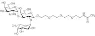 A Antigen PEG-trifluoroacetamide