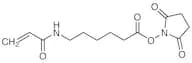 Acryloyl-X SE