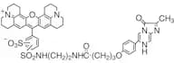 Red-CLA [Chemiluminescence Reagent]