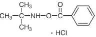 O-Benzoyl-N-tert-butylhydroxylamine Hydrochloride