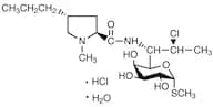 Clindamycin Hydrochloride Monohydrate