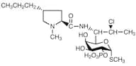 Clindamycin Phosphate