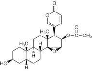 Cinobufagine