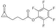 CPO-PFP