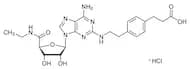CGS 21680 Hydrochloride