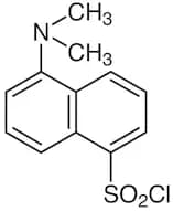 Dansyl Chloride