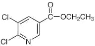Ethyl 5,6-Dichloronicotinate