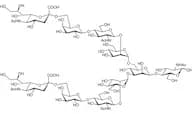 Disialyloctasaccharide