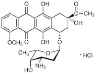 Daunorubicin Hydrochloride