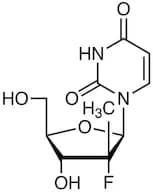 PSI-6206