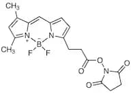BDP FL NHS Ester