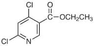 Ethyl 4,6-Dichloronicotinate