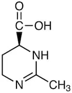 Ectoine