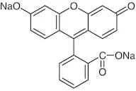 Uranine