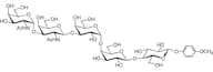 Forssman Pentaose MP Glycoside