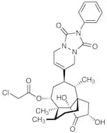 Ferroptocide