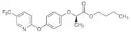 Fluazifop-P-butyl