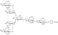 G0 MP Glycoside